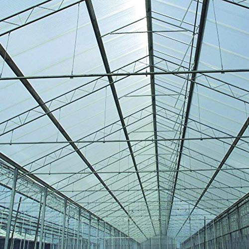 LEXAN® - Placas de Policarbonato Alveolar Celular - 8mm - Protección UV - Para Exteriores - Elige Medidas: (100 x 190 cm - Pack de 2, Transparente)