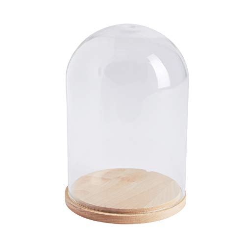 Lights4fun Campana de Cristal Minimalista con Base de Haya