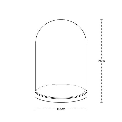 Lights4fun Campana de Cristal Minimalista con Base de Haya