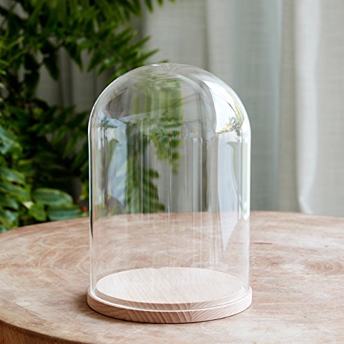 Lights4fun Campana de Cristal Minimalista con Base de Haya