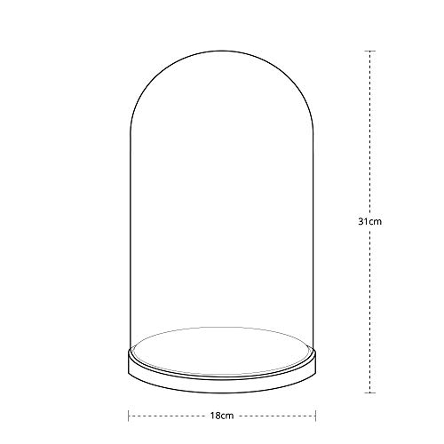 Lights4fun - Campana de Cristal Minimalista XL con Base de Haya