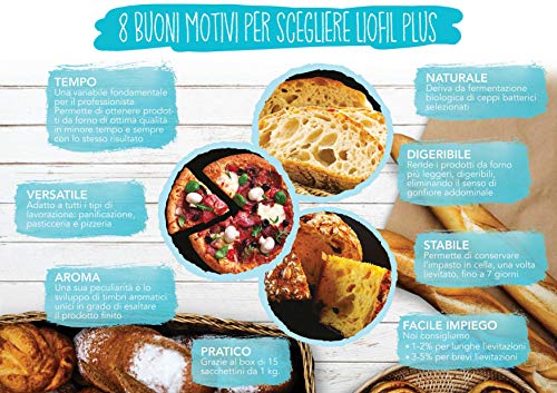 LIOFIL PLUS, levadura madre activa para panificación y pastelería. Producto 100% artesanal. 1 kg (Confezione da 1)
