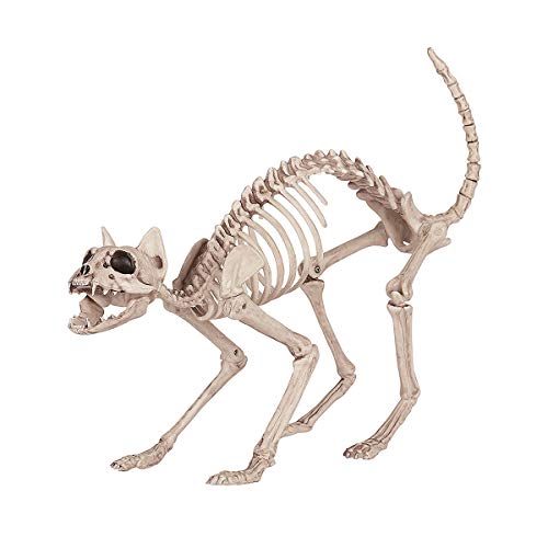 LKXHarleya Halloween Animal Esqueleto DecoracióN Horror Animal CráNeo Apoyos Halloween BúHo Pez Rana Gato Esqueleto DecoracióN De Halloween, Gato