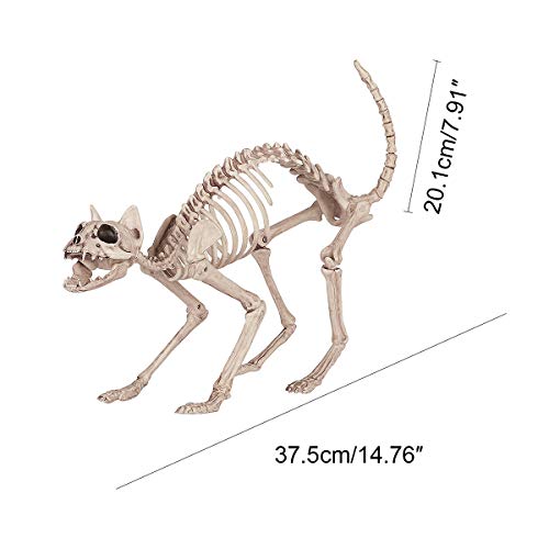 LKXHarleya Halloween Animal Esqueleto DecoracióN Horror Animal CráNeo Apoyos Halloween BúHo Pez Rana Gato Esqueleto DecoracióN De Halloween, Gato