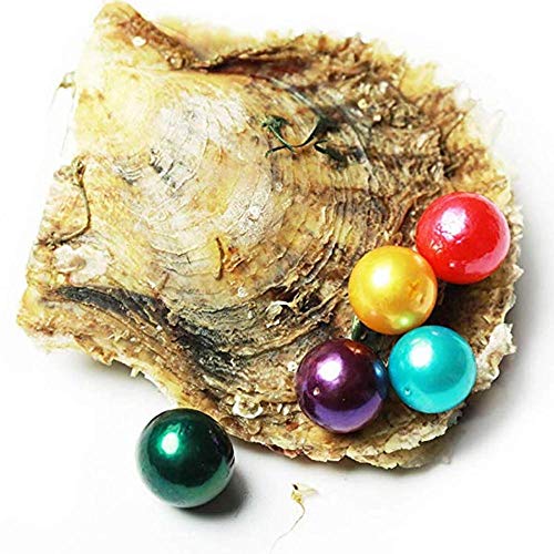 LONGTAP - Ostras de 11 a 13 mm con perlas en el interior de perlas cultivadas de agua dulce, 1 unidad, 1 unidad, San Valentín, Día de la Madre, cumpleaños, bodas, regalos, Perla Ostra, amarillo