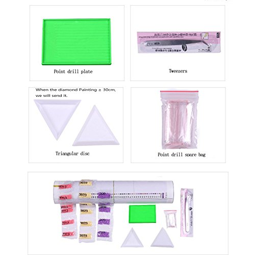 LoveMyHome 5d diy Diamond bordado pintura Kit/Rhinestone Pasted pintura/de punto de cruz – con Full cuadrado diamante y hacer herramienta – animales – Gallo Gallina y polluelos, 50 x 50 cm