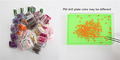 LoveMyHome 5d diy Diamond bordado pintura Kit/Rhinestone Pasted pintura/de punto de cruz – con Full cuadrado diamante y hacer herramienta – animales – Gallo Gallina y polluelos, 50 x 50 cm