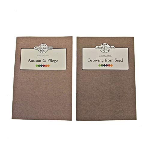 Magic Garden Seeds Mandrágoras - Semillas-Set de Regalo con Mandragora officinarum & M. autumnalis