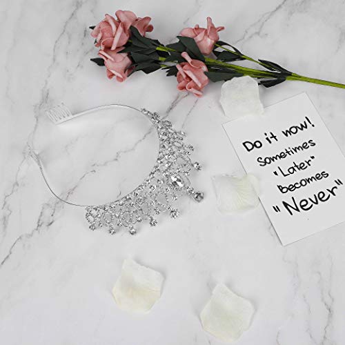 MaoXinTek Diadema Corona Tiara con Peine Hairband de Cristal Diamantes de imitación Fiesta Boda Novia Niña Mujer Partido decoración en cumpleaños (Plata)