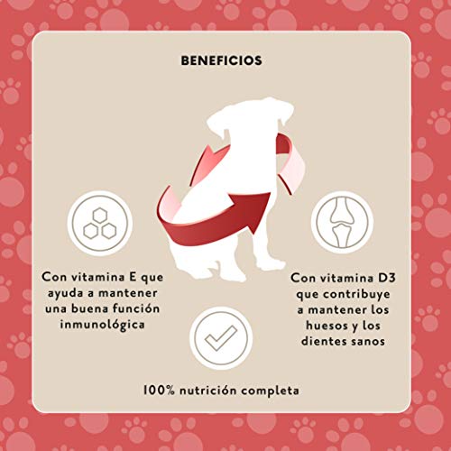 Marca Amazon - Lifelong Alimento completo para perros adultos - Selección de carne en gelatina, 2,4 kg (24 bolsitas x 100g)