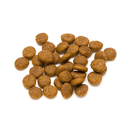 Marca Amazon - Lifelong Complete- Alimento seco completo para gatos adultos con salmón y arroz, 1 x 10 kg