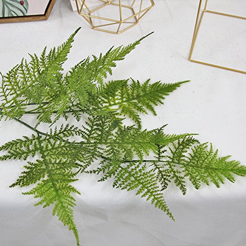 Miguor Decoración Artificial Diversos Tipos de Hojas de Helecho plástico Pteridofytes Hojas Verde Plantas hogar Oficina decoración de Mesa Hermosa el Medio Ambiente, Paquete de 1