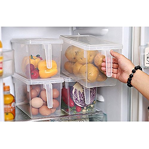 MineSpace - Juego de 4 cajas de almacenamiento de plástico con asa cuadrada para almacenamiento de alimentos con tapas para nevera, armario de nevera o escritorio (tamaño grande)