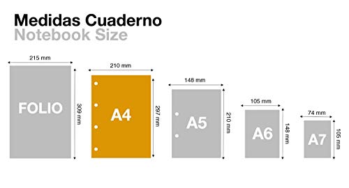 Miquel Rius Recambio 100 Hojas, Cuadrícula de 4 mm y margen. Tamaño A4, 4 Taladros, Papel de 90 gr
