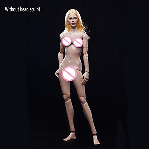 Modelo de Cuerpo Femenino a Escala 1/6 con Juntas VC de Goma (FX01-C)