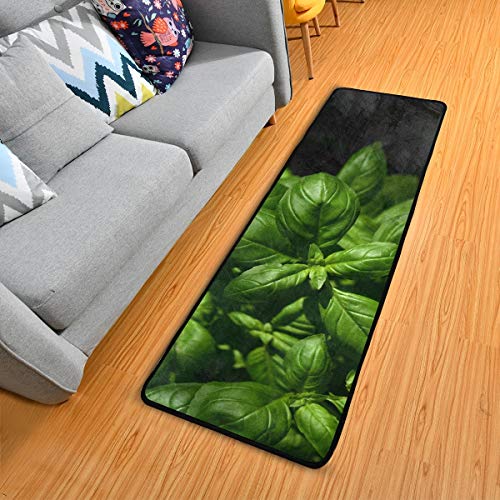 MONTOJ - Alfombra de cocina con albahaca fresca