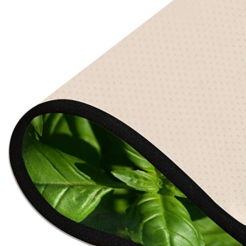 MONTOJ - Alfombra de cocina con albahaca fresca