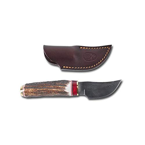 Muela Cuchillo de lujo AFRICA-9DAM hoja de acero damasco de 9 cm y empuñadura de asta de ciervo para Caza, Pesca, Supervivencia y Bushcraft Realizado en Ciudad Real + Portabotellas de regalo