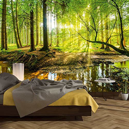 murimage Papel Pintado Bosque 366 x 254 cm Incluyendo Pegamento Fotomurales Vista 3D Madera árboles luz del Sol Sala Living Oficina Dormitorio