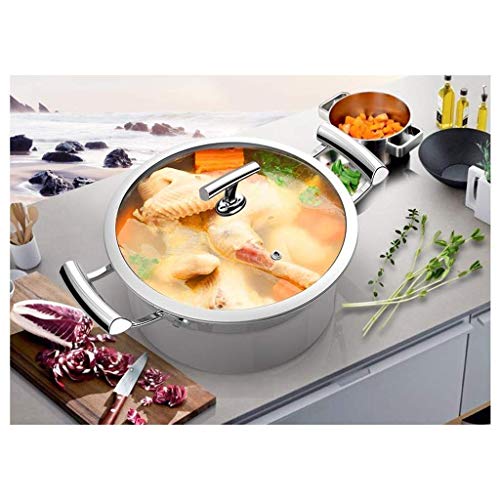 MxZas Acero Inoxidable de Tiesto Quart Cocina la Conserva y la Olla con Tapa Jzx-n