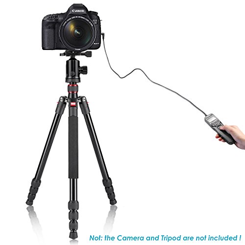 Neewer® LCD Temporizador Disparador a Distancia de Control Remoto para Canon 700D/T5i, 650D/T4i, 550D/T2i, 500D/T1i, 350D/XT, 400D/XTi, 1000D/XS, 450D/XSi, 60D, 100D, y Pentax