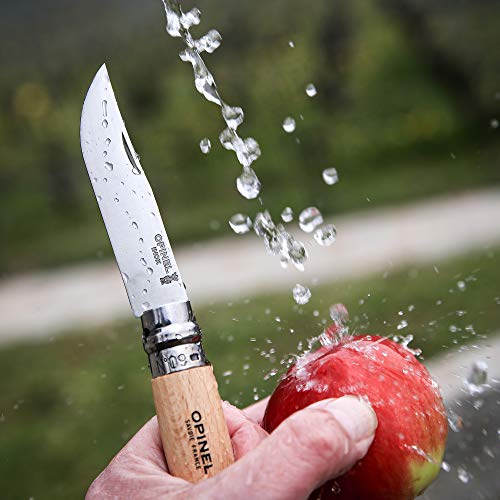 Opinel 1254 - Cuchillo Tradicional de Acero Inoxidable, nĂşmero 9