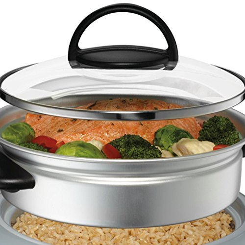 Oster CKSTRC61K-TECO - Olla de arroz y granos de titanio con bandeja de vapor, antiadherente, color plateado y negro