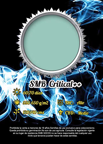 Pack 3 Semillas CritiKal+ auto + Pack 2 Semillas Autos REGALO. Total 5 Semillas.