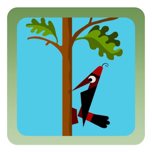 Pájaro Carpintero El Leñado