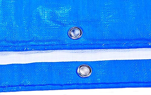 PAMEX - Toldo reforzado 90 gramos (3x4m, Azul)