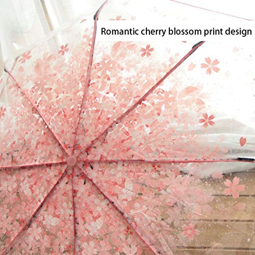 Paraguas Paraguas Plegable Transparente Sakura Mushroom - Rosa