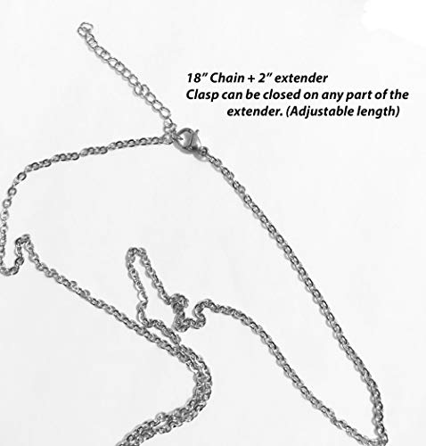 Pearlina Madre niño Plata Tono Jaula Perla cultivada en Collar de ostras con Cadena de Acero Inoxidable para Mujer 18"