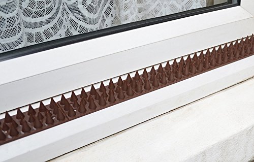 PestExpel Anti Escalada Gato pájaro Humanos Valla Pared windowsill Puertas vertientes espigas 5 Metros Paquete marrón
