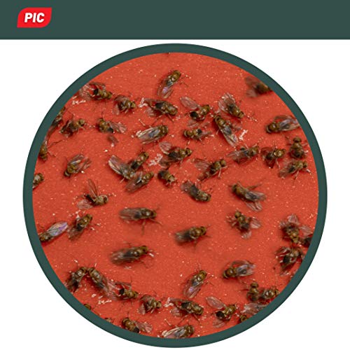 PIC - Trampa para Moscas de la Fruta - 4 trampas de Pegamento con 2 recipientes atrayentes - Medios para Combatir Las Moscas de la Fruta - Apto para la Cocina