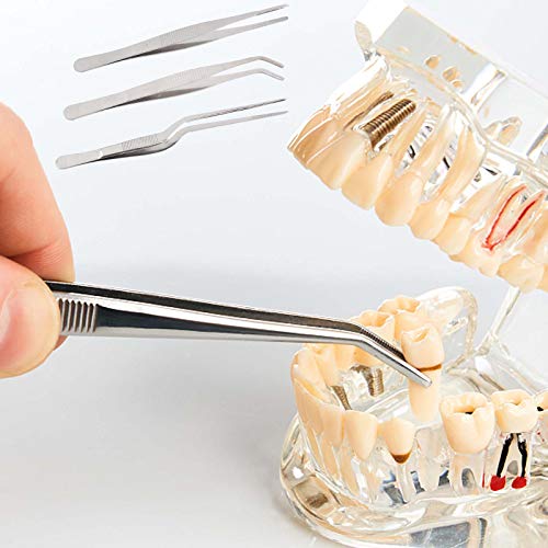 Pinzas de cocina de Yanshon, 3 unidades, de acero inoxidable, pinzas de cocina, pinzas de cocina, pinzas para cocinar, hornear, pinzas de bayoneta para acuario, medicinal
