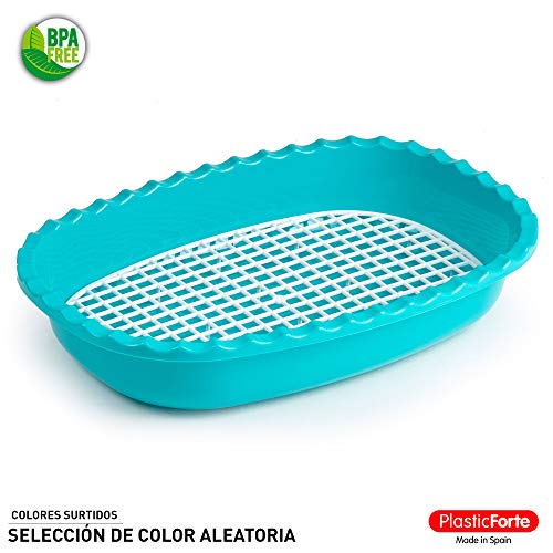 PLASTIC FORTE, Bandeja con rejilla, Multicolor, Talla unica, Rejilla