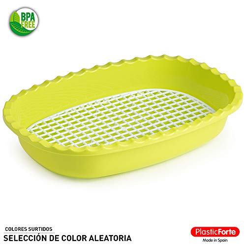 PLASTIC FORTE, Bandeja con rejilla, Multicolor, Talla unica, Rejilla