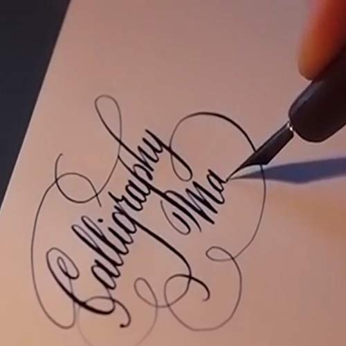 Pluma estilografica Conjunto de Caligrafía con Tinta y 11 Plumillas HO-Q-301
