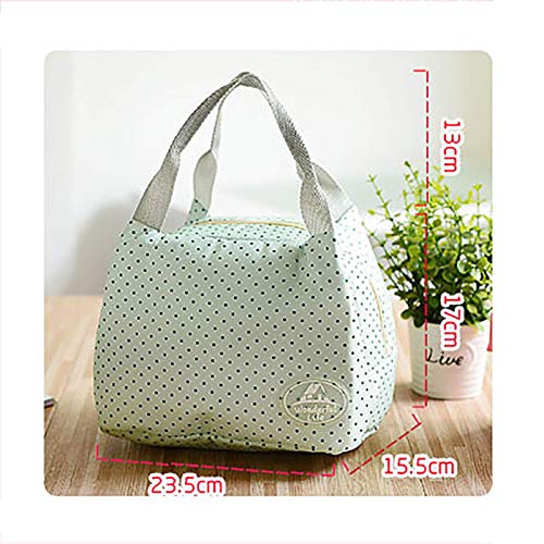 PLXX Bolsa de Almuerzo portátil con Aislamiento de Lona fría a Rayas, Estuche de Transporte para Picnic, Fiambrera portátil térmica, Bolsa Termica Lancheira, Dropships