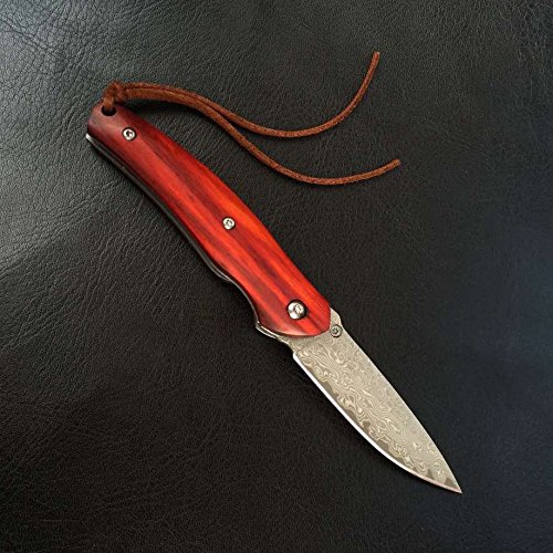 Polar Bear VG-10 Damasco de acero - Outdoor Cuchillo mango de madera Navaja