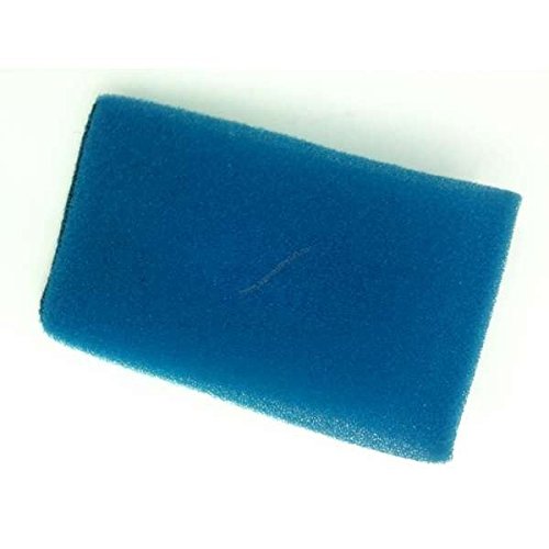 Polti Filtro Esponja Agua Motor Azul Vaporetto Lecoaspira Lecologico AS850 as805