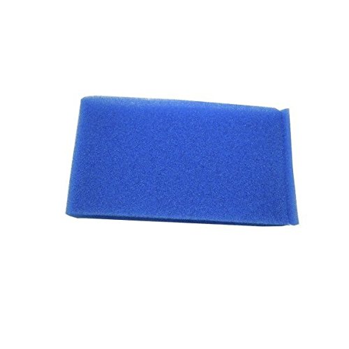 Polti Filtro Esponja Agua Motor Azul Vaporetto Lecoaspira Lecologico AS850 as805