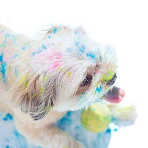POLVO HOLI Pack 800g 8 Bolsas de 100 Gramos - 8 Colores