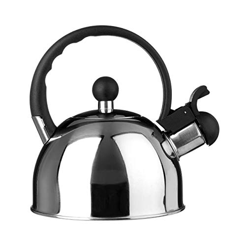 Premier Housewares - Tetera hervidor con Silbato (Acero Inoxidable, 1.0 L) Acabado Espejo.