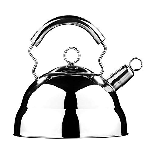 Premier Housewares - Tetera hervidor con Silbato (Acero Inoxidable, 1.0 L) Acabado Espejo.