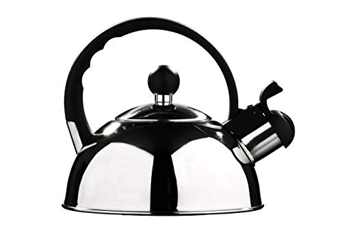 Premier Housewares - Tetera hervidor con Silbato (Acero Inoxidable, 1.0 L) Acabado Espejo.