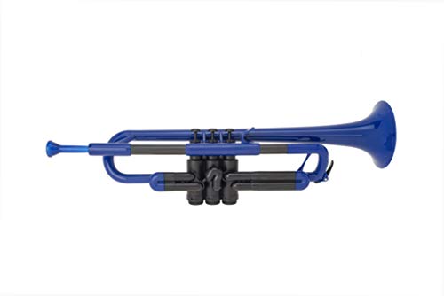 Ptrumpet 700626 - Trompeta con boquilla y funda