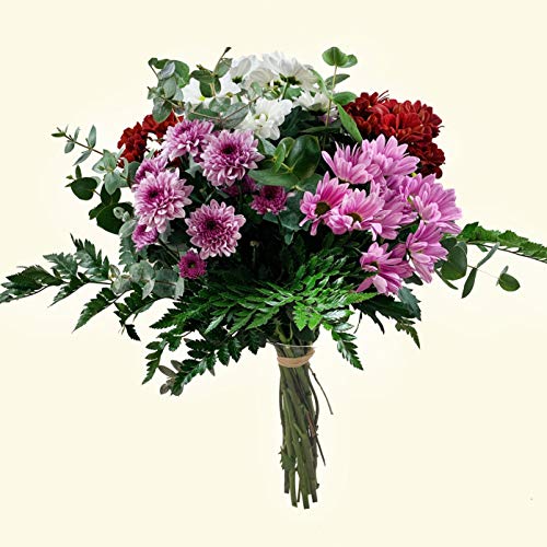 RAMO DE MARGARITAS VARIADAS NATURALES - ENTREGA EN 24 HORAS - FLORES FRESCAS