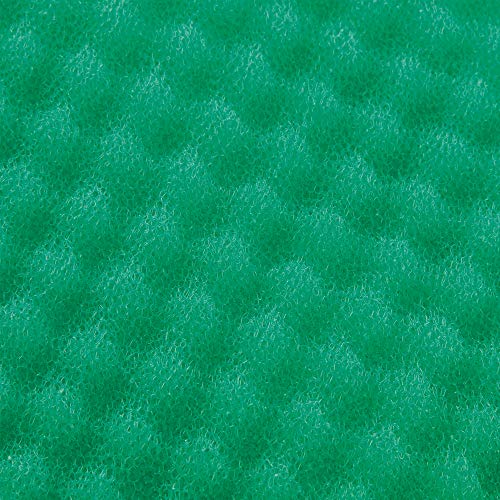Rayen 6313.01 - Base conservante para nevera, 47 x 30 cm