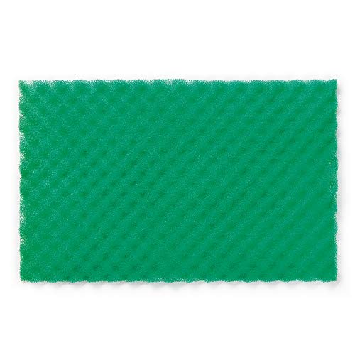 Rayen 6313.01 - Base conservante para nevera, 47 x 30 cm